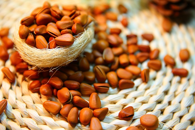 Pine Nuts