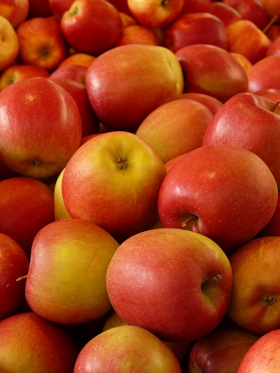 Fruits and Vegetables