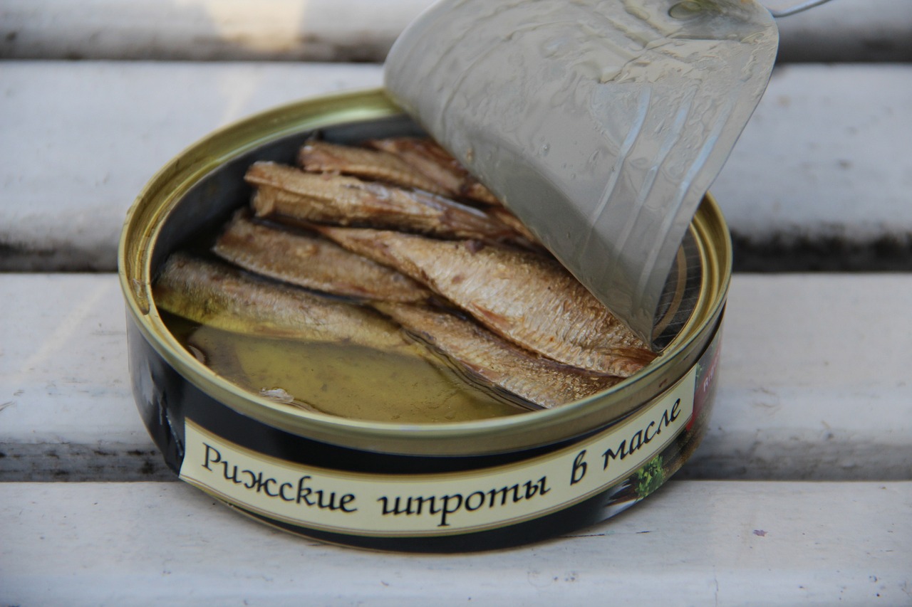 Canned Food